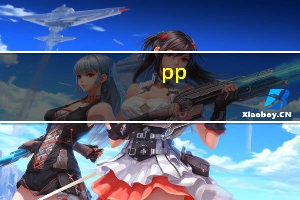 pp（关于pp的介绍）
