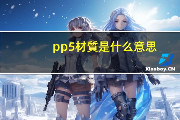 pp5材質是什么意思