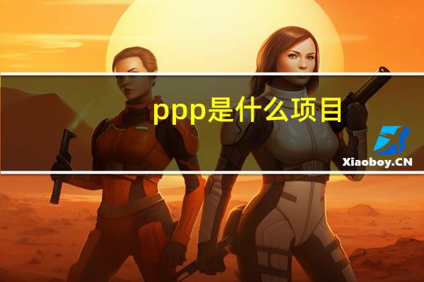 ppp是什么项目