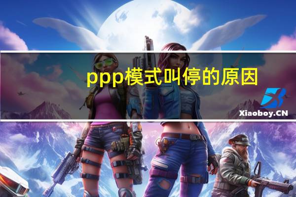 ppp模式叫停的原因