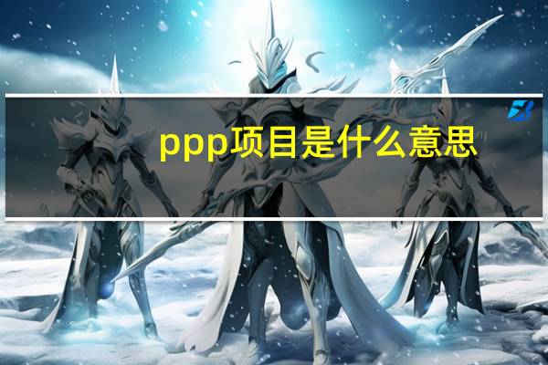 ppp项目是什么意思