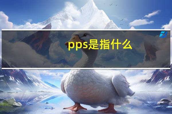 pps是指什么