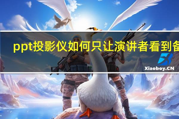 ppt投影仪如何只让演讲者看到备注