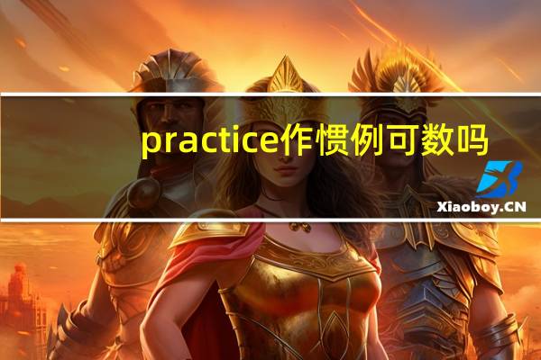 practice作惯例可数吗