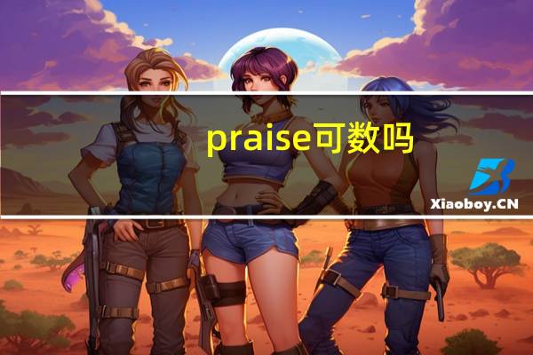 praise可数吗