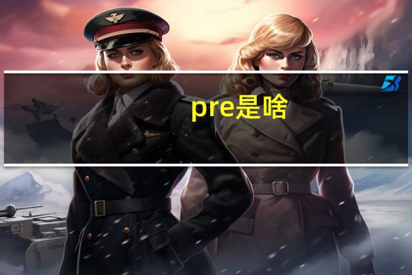 pre是啥