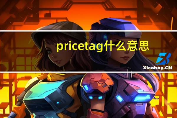 price tag什么意思（price tag的意思）