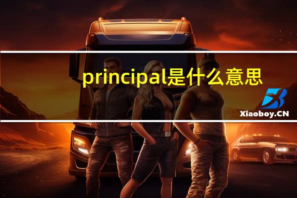 principal是什么意思