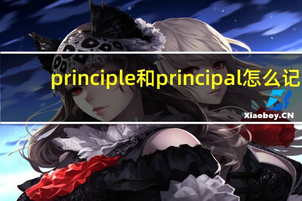 principle和principal怎么记