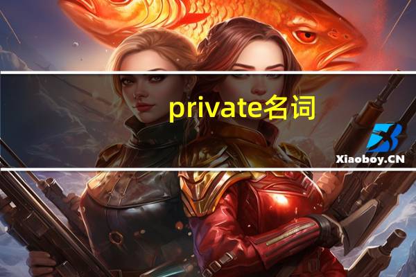 private名词