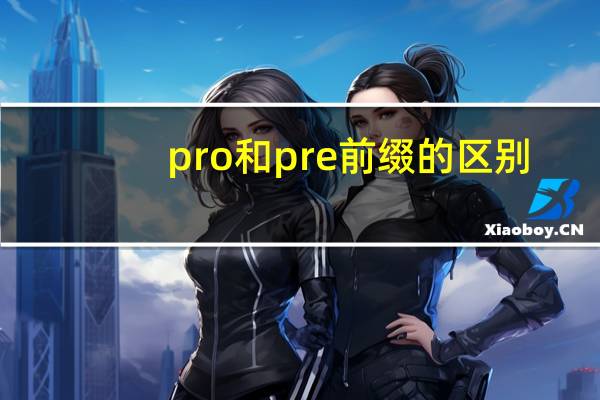 pro和pre前缀的区别