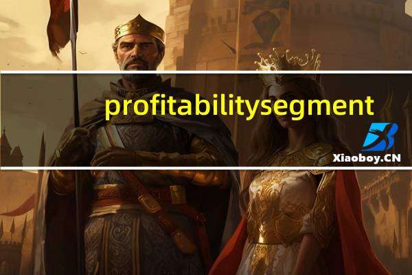 profitability segment（profitability简介）