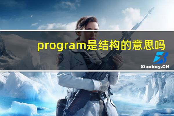 program是结构的意思吗