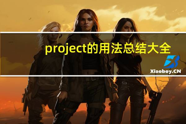 project的用法总结大全