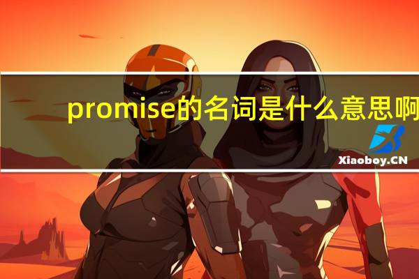 promise的名词是什么意思啊