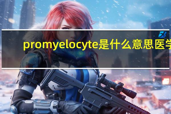 promyelocyte是什么意思医学