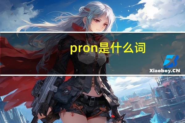 pron是什么词