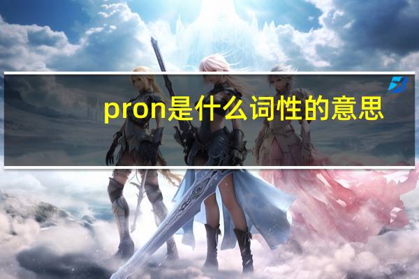 pron是什么词性的意思