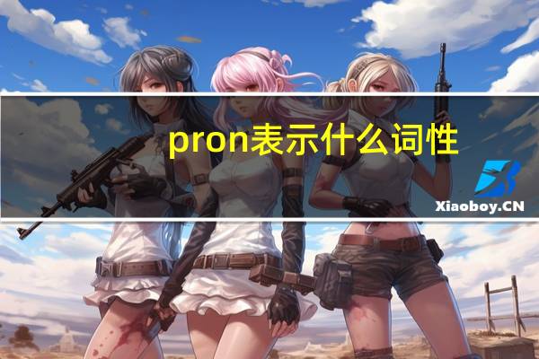 pron表示什么词性