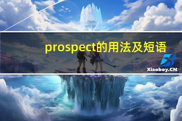 prospect的用法及短语