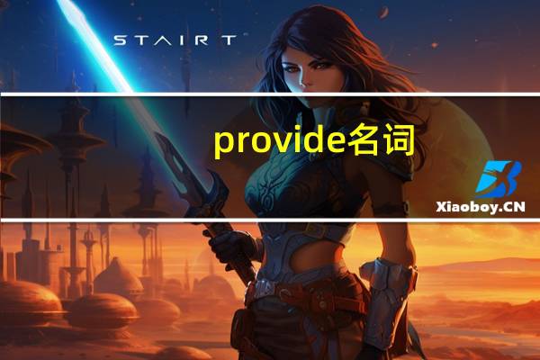 provide名词