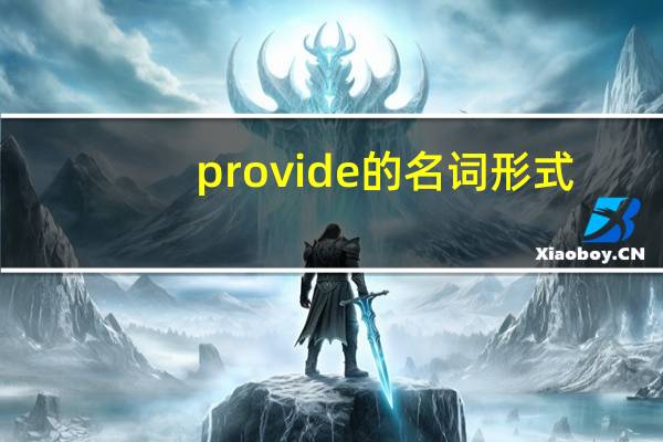 provide的名词形式