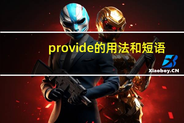 provide的用法和短语