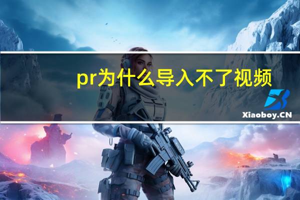 pr为什么导入不了视频