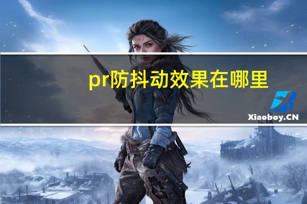 pr防抖动效果在哪里