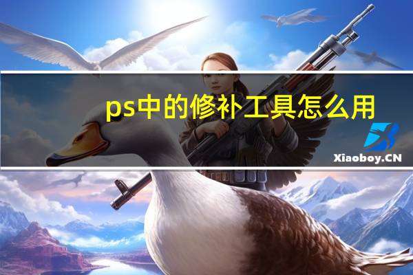 ps中的修补工具怎么用（ps修补工具怎么用）