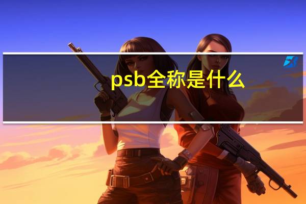 psb全称是什么