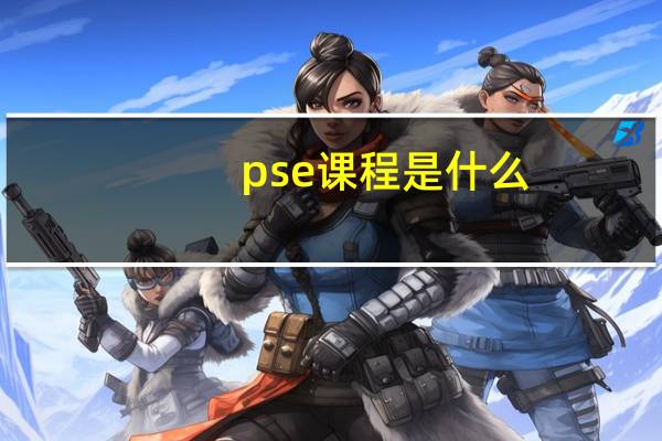 pse课程是什么