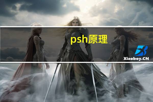 psh原理