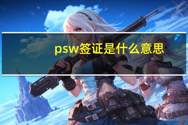 psw签证是什么意思