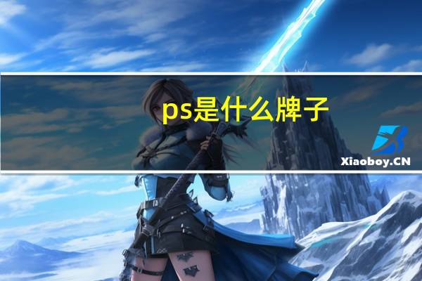 ps是什么牌子