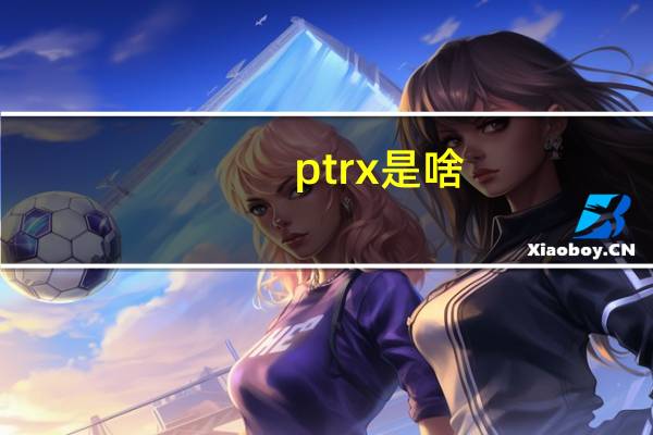 ptrx是啥