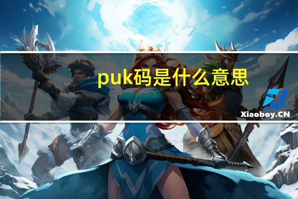 puk码是什么意思