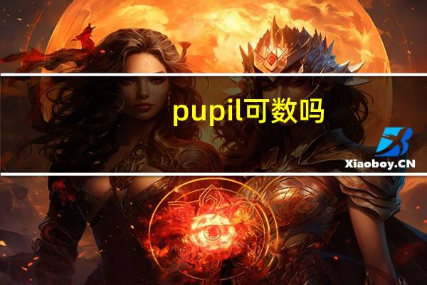 pupil可数吗