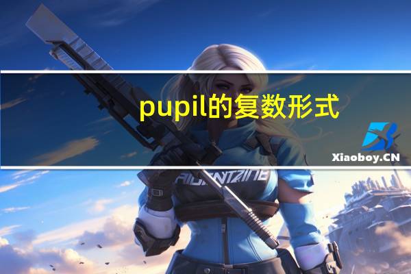 pupil的复数形式