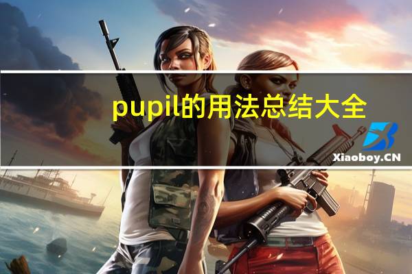 pupil的用法总结大全