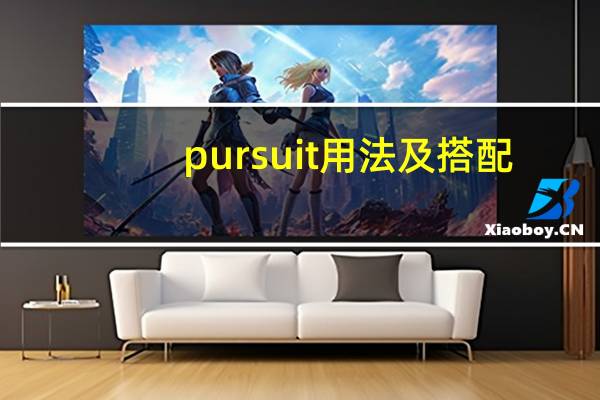 pursuit用法及搭配