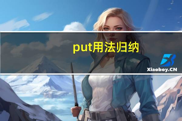 put用法归纳