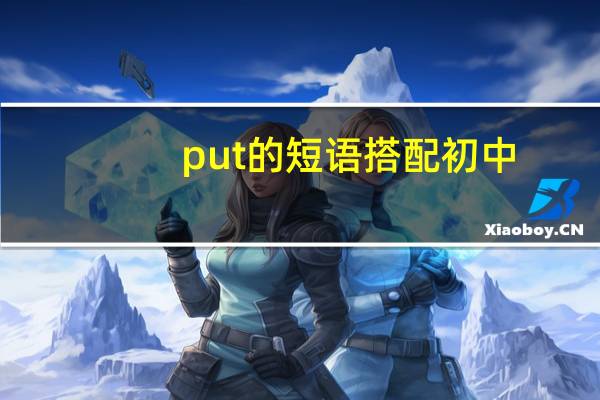 put的短语搭配初中
