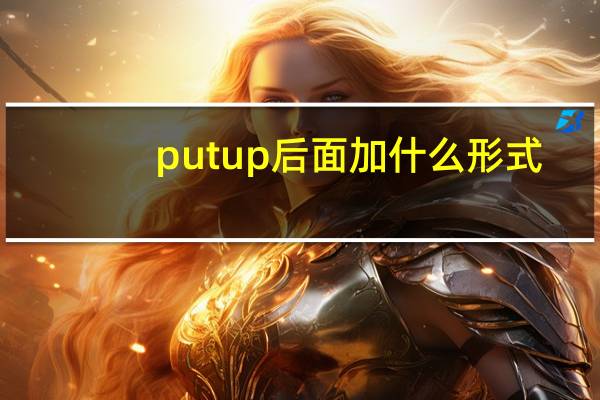 put up后面加什么形式