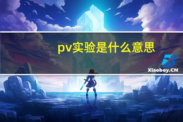 pv实验是什么意思