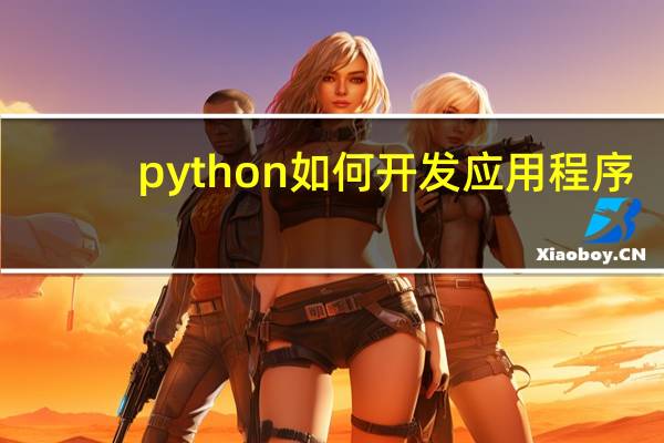 python如何开发应用程序