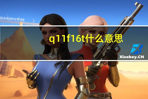 q11f16t什么意思（q11f 16t）