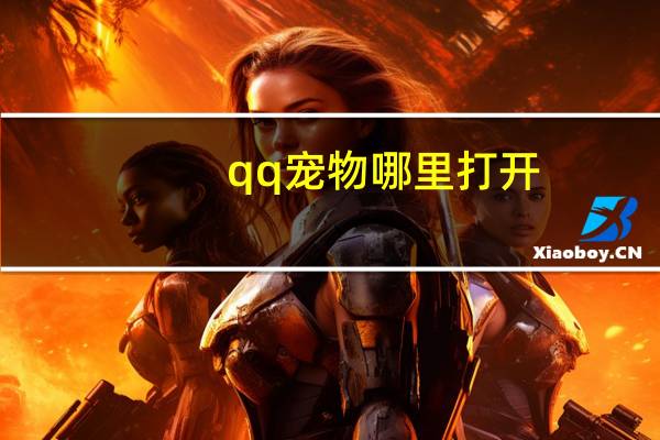 qq宠物哪里打开