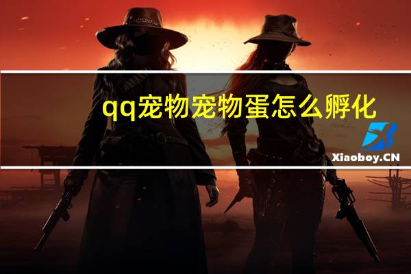 qq宠物宠物蛋怎么孵化