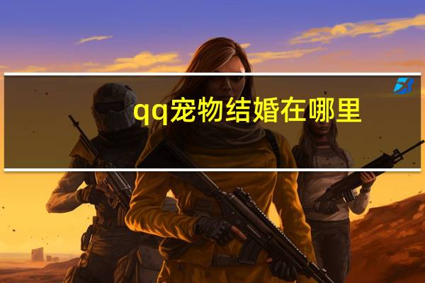 qq宠物结婚在哪里